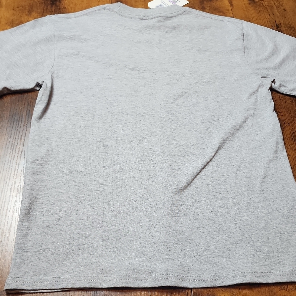 AUTHENTIC TEE SHIRT COMPANY | Blackbird M-21 Grey Youth Cotton Graphic Tee | L - Picture 6 of 6